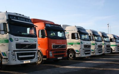 Įmonės automobilių parko valdymas (Fleet Management)